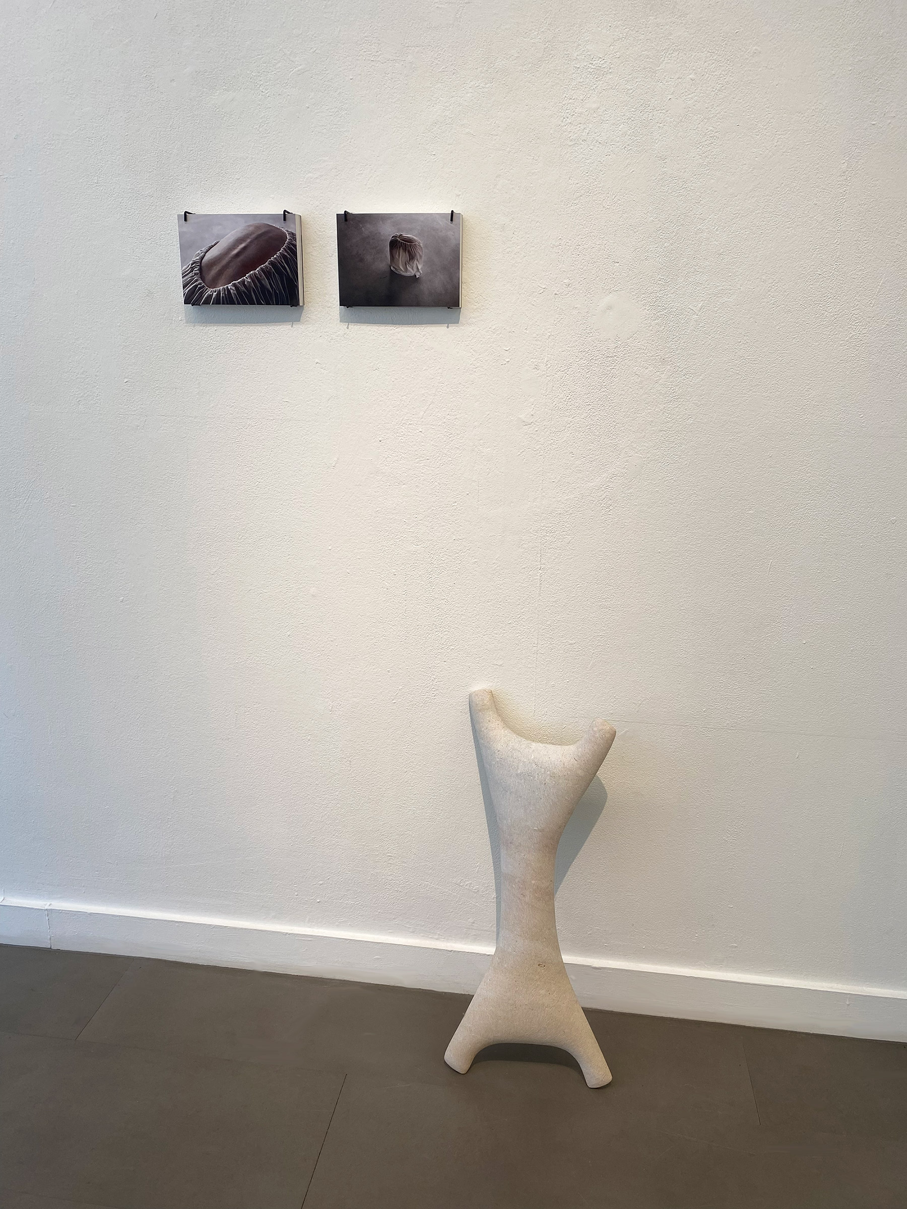 Lucy König - Seide, 2015 (Photos: Jakob Adolphi) & Lucy König - B3/09 Gg6, 2025